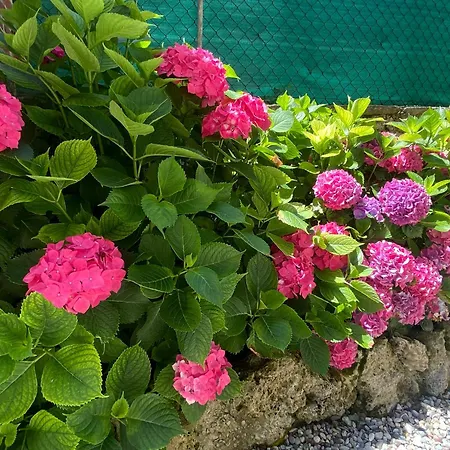 Διαμέρισμα Life Is Good - Front In Tremezzo