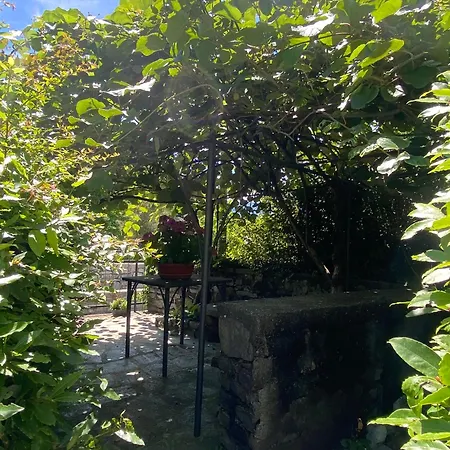 Apartment Life Is Good - Front In Tremezzo